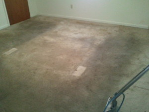 Hydra Clean Carpet Cleaning business image in Hattiesburg, MS